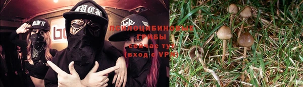 дживик Россошь