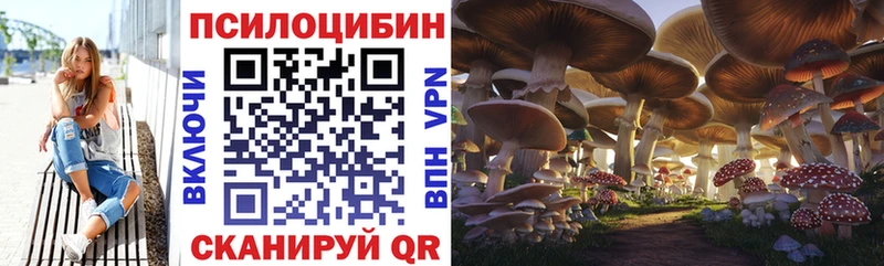 Галлюциногенные грибы Cubensis  закладка  hydra как войти  Тосно 