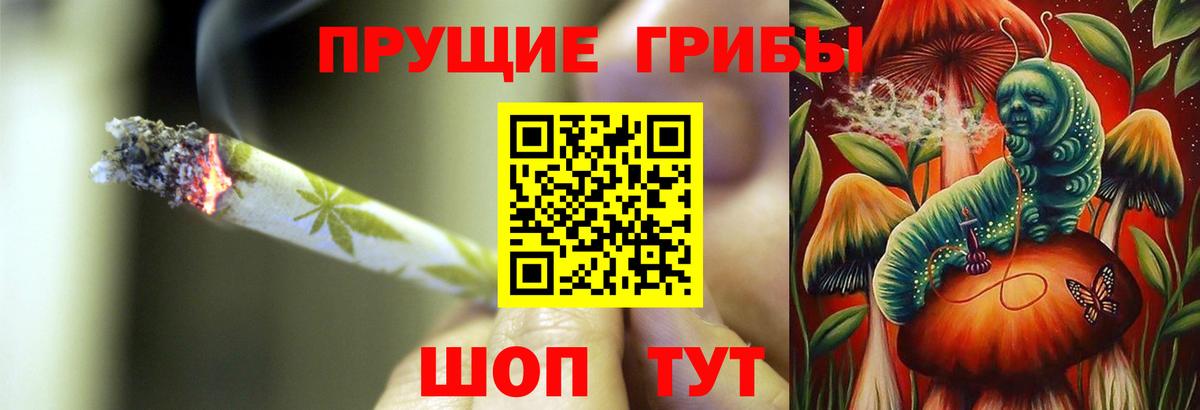 Каннабис  Вход с VPN  Тосно  ТГК  Меф МЯУ МЯУ кристаллы  Кокаин 